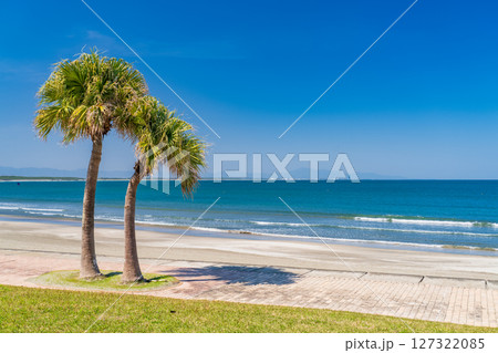 《宮崎県》南国・青島のビーチ 127322085