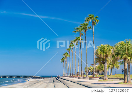 《宮崎県》南国・青島のビーチ 127322097