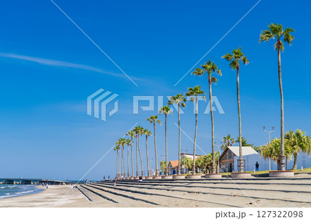 《宮崎県》南国・青島のビーチ 127322098