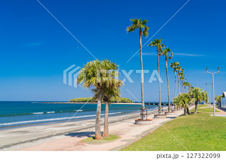 《宮崎県》南国・青島のビーチ 127322099