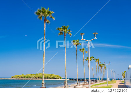 《宮崎県》南国・青島のビーチ 127322105