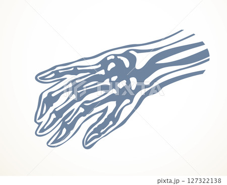 Vector drawing. Bones of the hand 127322138