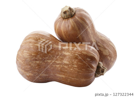 Pumpkin Butternut Squash isolated on a white background 127322344