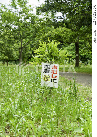 緑に包まれた公園に危険を知らせる看板 緑に包まれた公園に危険を知らせる看板 127322356