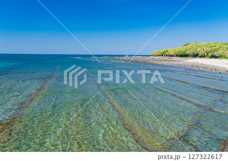 《宮崎県》青島の風景・鬼の洗濯板 《宮崎県》青島の風景・鬼の洗濯板 127322617