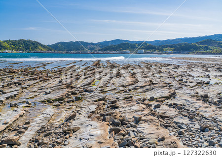 《宮崎県》青島の風景・鬼の洗濯板 《宮崎県》青島の風景・鬼の洗濯板 127322630