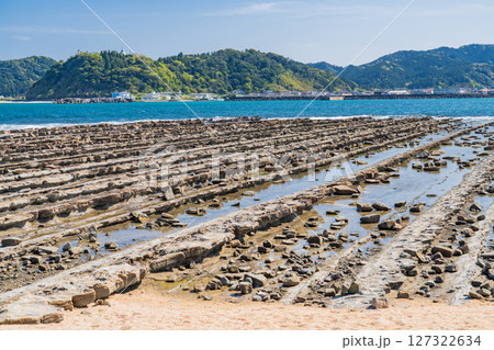 《宮崎県》青島の風景・鬼の洗濯板 127322634