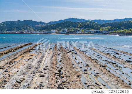《宮崎県》青島の風景・鬼の洗濯板 127322636