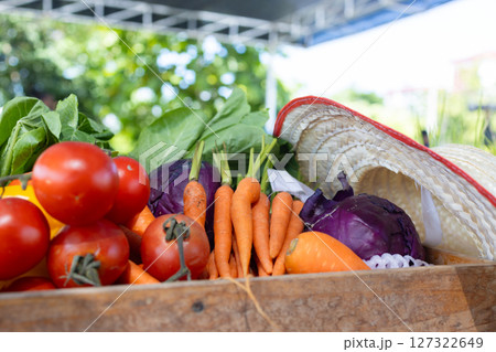 A variety of colorful vegetables such as tomatoes, carrots, bell peppers, and cabbage are arranged in wooden box A variety of colorful vegetables such as tomatoes, carrots, bell peppers, and cabbage are arranged in wooden box 127322649