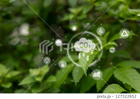 Carbon dioxide or CO2 is colorless gas. which inhaling this gas in large quantities. Leaf absorb dust and carbon dioxide. management clean air global. Leaves with cloud co2 icon. 127322652