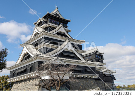 The Famous Landscape vintage building of Kumamoto Castle in Northern Kyushu, Japan. 127323328