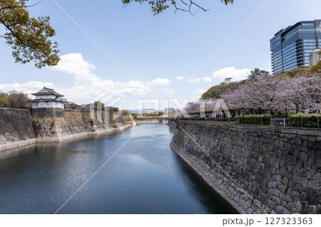 春の大阪城の水堀(2025年4月撮影) 春の大阪城の水堀(2025年4月撮影) 127323363