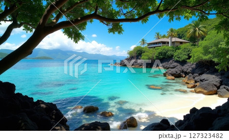 tropical beach cove with crystal-clear turquoise water 127323482
