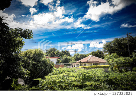 木陰かは見る沖縄の美しい風景 木陰かは見る沖縄の美しい風景 127323825