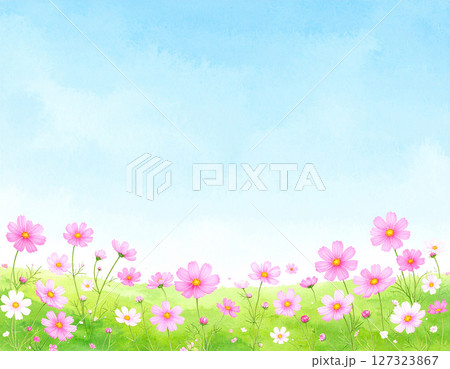 コスモスと青空　水彩画風 127323867