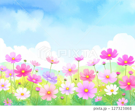 コスモスと青空　水彩画風 127323868