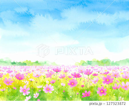 コスモスと青空　水彩画風 127323872