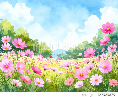 コスモスと青空 水彩画風のイラスト素材 [127323875] - PIXTA