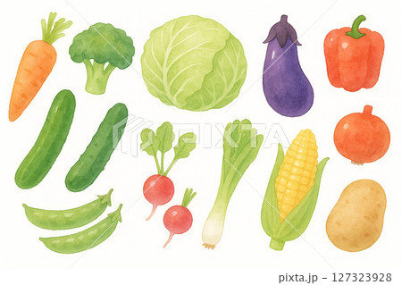 やさしい水彩風の野菜のイラストセットのイラスト素材 [127323928] - PIXTA