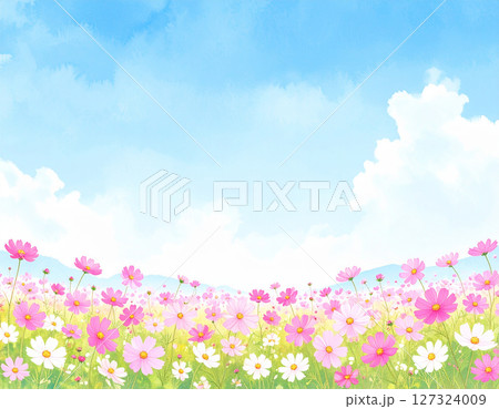 コスモスと青空　水彩画風 127324009