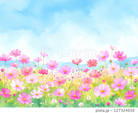 絵画水彩画　♡♡♡風に揺れるコスモス 透明水彩画原画風に揺れるコスモスたち - メルカリ