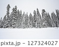 《カナダ》雪の積もった針葉樹林 127324027