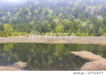 初夏の尾瀬 満開の水芭蕉 沼尻〜白砂峠〜見晴 初夏の尾瀬 満開の水芭蕉 沼尻〜白砂峠〜見晴 127324277