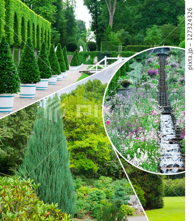 Beautiful garden with coniferous and deciduous trees. Collage. Mosaic pattern. 127324326