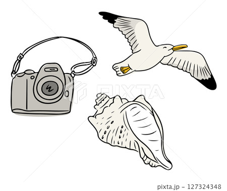 Vector illustration of a camera, flying seagull 127324348