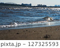 夕暮れの波打ち際と砂浜 127325593