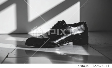 Black Leather Dress Shoe in Dramatic Light 127326071