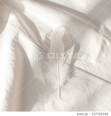 White Feather on Soft Fabric with Subtle Light White Feather on Soft Fabric with Subtle Light 127326166