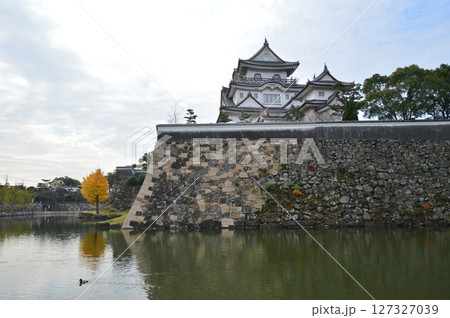 岸和田城（大阪府岸和田市岸城町） 127327039