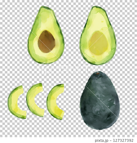 Cut avocado watercolor style hand-drawn illustration 127327392