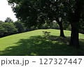 芝生のある公園 127327447