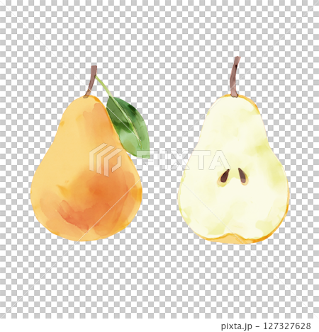 梨水彩風格手繪插畫橘色 127327628