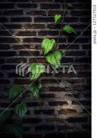 Resilience Resilience 127327918