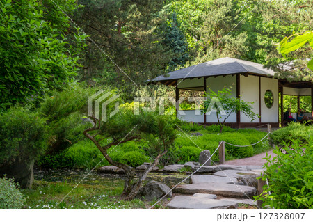 Small waterfall  and stream and ferns loving shadow in Japanese garden in Moscow 127328007