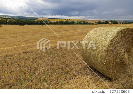 bales of hay 127328608