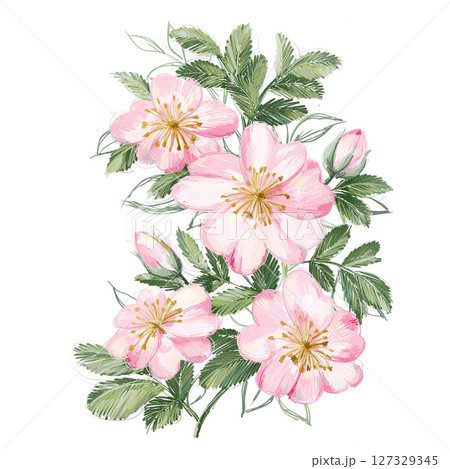 Sweet Floral Pattern Assortment for Light Aesthetics Sweet Floral Pattern Assortment for Light Aesthetics 127329345