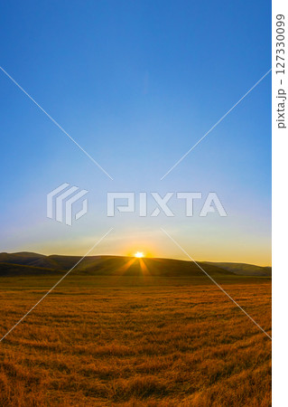 Sunrise over a harvested field with golden straw stubble under a clear blue sky. 127330099