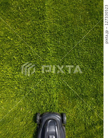 Lawn mower cutting grass on a sunny day in peaceful garden, high angle view Lawn mower cutting grass on a sunny day in peaceful garden, high angle view 127330523