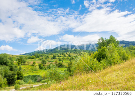 beautiful countryside of ukraine. forest on the slope. sunny day. scenic summer landscape in carpathian mountains. grassy field and rolling hills. rural scenery. natural environment beautiful countryside of ukraine. forest on the slope. sunny day. scenic summer landscape in carpathian mountains. grassy field and rolling hills. rural scenery. natural environment 127330566