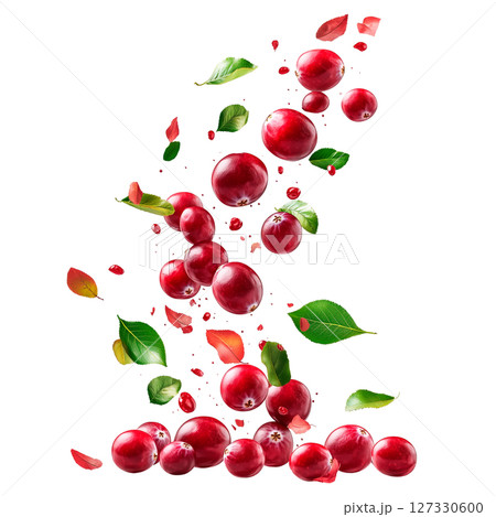 Falling cranberries with green and autumn leaves isolated on a transparent background. Red glossy berries and scattered foliage in floating composition for food, packaging, and design projects. 127330600
