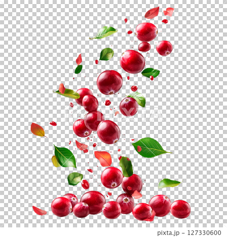 Falling cranberries with green and autumn leaves isolated on a transparent background. Red glossy berries and scattered foliage in floating composition for food, packaging, and design projects. 127330600