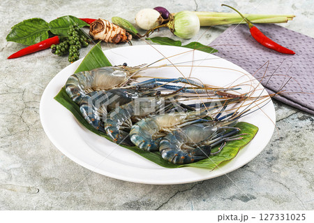 Raw blue river prawn in the plate 127331025