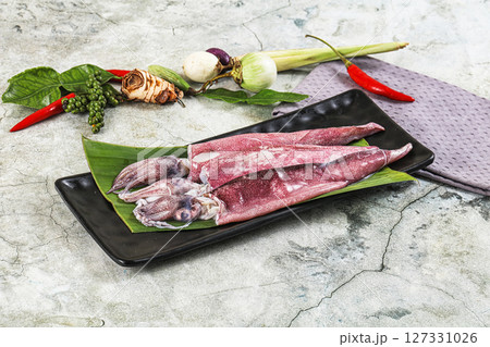 Fresh raw aquid in the plate Fresh raw aquid in the plate 127331026