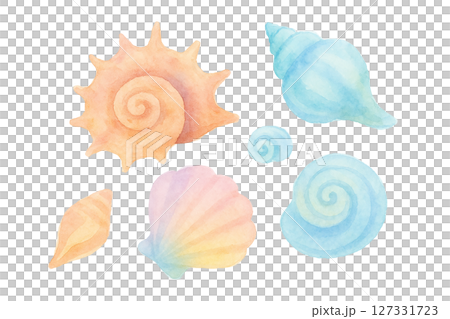 六幅色彩繽紛的貝殼水彩插圖 - 夏日海洋主題材料（剪切 PNG） 127331723