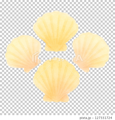 やさしい色合いのホタテ貝シェル・水彩風の海のイラスト素材(切り抜きPNG) やさしい色合いのホタテ貝シェル・水彩風の海のイラスト素材(切り抜きPNG) 127331724