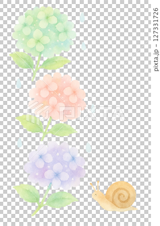 紫陽花とカタツムリと雨粒の水彩イラスト・梅雨の季節素材（切り抜きPNG） 127331726